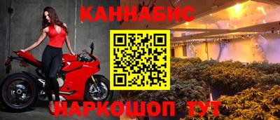 прущие грибы Донецк