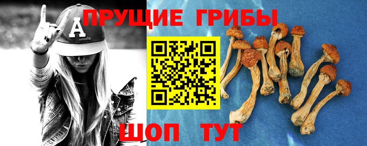 Псилоцибиновые грибы GOLDEN TEACHER  Вход с VPN  Псилоцибиновые грибы мухоморы  Нижний Тагил 
